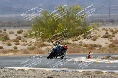 media/Apr-10-2022-SoCal Trackdays (Sun) [[f104b12566]]/Turn 5 Tree of Life (1040am)/